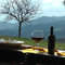Panorama con vino